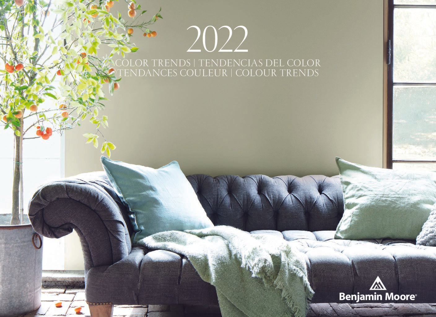 Benjamin Moore Color of the Year 2022 - October Mist (#1495)