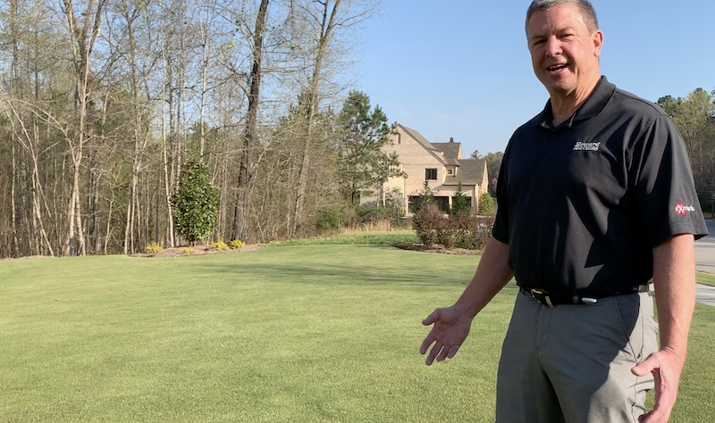 Common Grasses in Atlanta and North Georgia