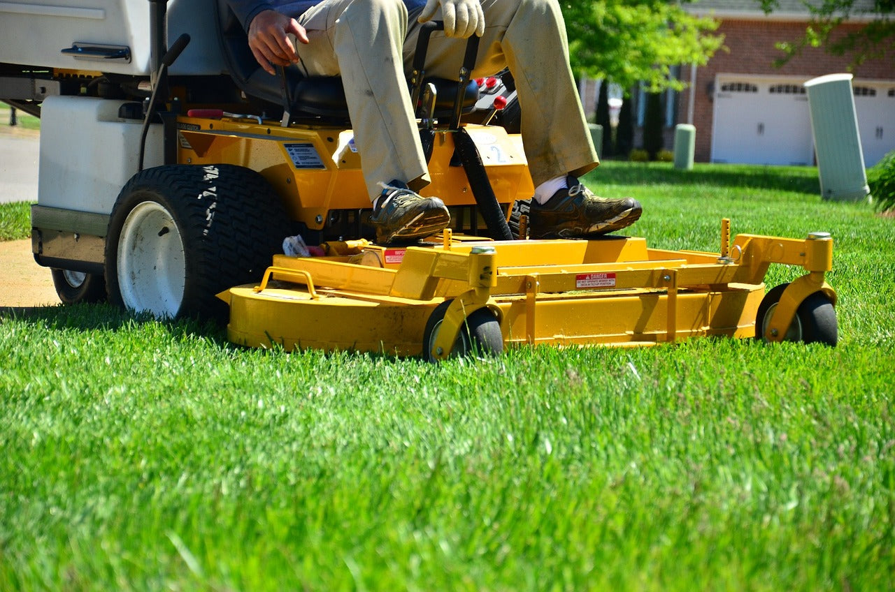 Getting Your Lawn in Shape for The Summer Season