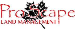 Pro Scape Land Management