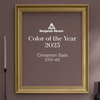 Benjamin Moore's Color of the Year 2025 - Cinnamon Slate